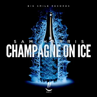 Champagne on Ice by Sam Harris