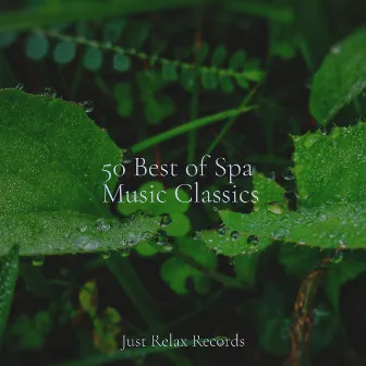 50 Best of Spa Music Classics by Musica romantica instrumental