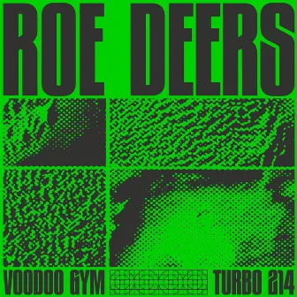 Voodoo Gym by Roe Deers