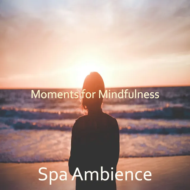 Moments for Mindfulness