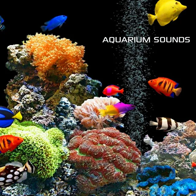 Aquarium Water Sound 3D - Aquarium Sounds Remix