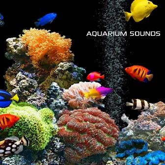 Aquarium Sounds by Atmospheres Soundscapes