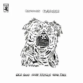 Old Dog New Tricks Who This by Common Grackle