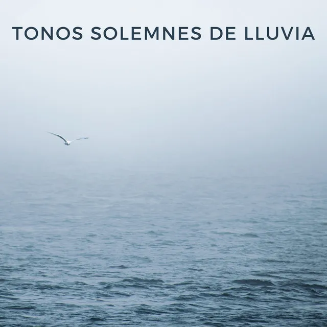 Tonos Solemnes De Lluvia