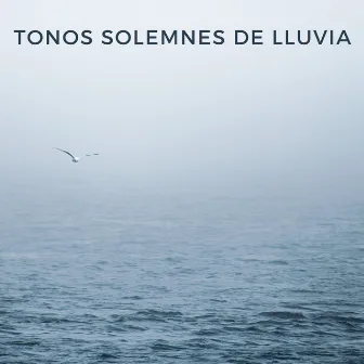 Tonos Solemnes De Lluvia by Muestreo de lluvia profunda