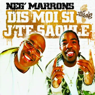 Dis moi si j'te saoule by Nèg' Marrons