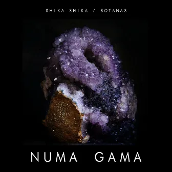 Shika Shika / Botanas, Vol. 16 by Numa Gama