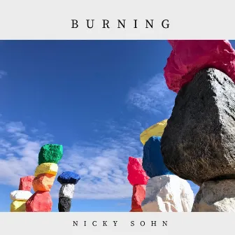 Burning by Nicky Sohn