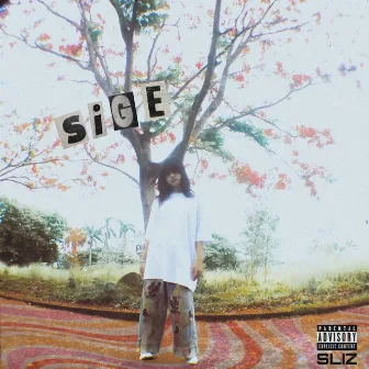 Sige by SLIZ