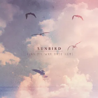 Find My Way Back Home by Sunbird