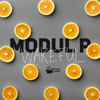 Wakeful by Modul P