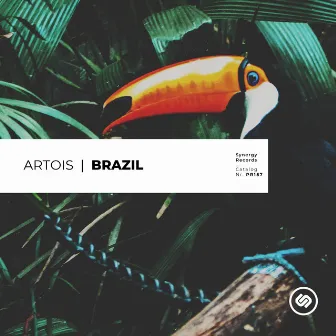 Brazil by Artois