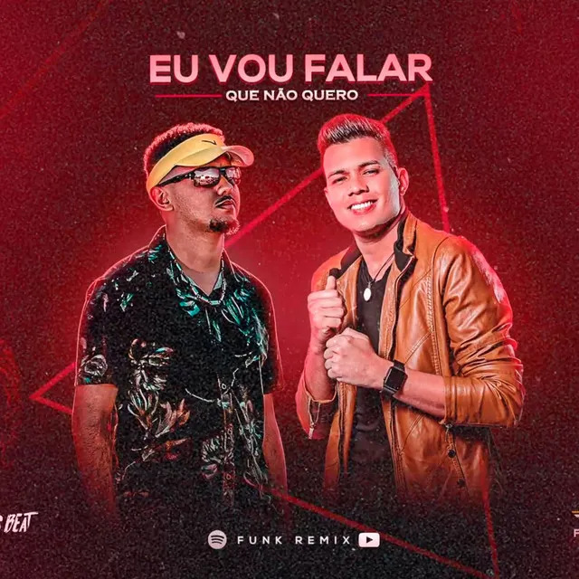 Vou Falar Que Não Quero - Remix