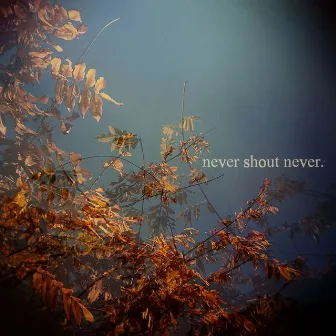 EP by Never Shout Never