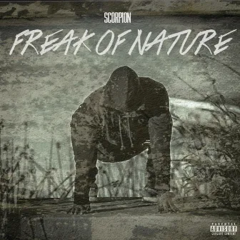 Freak of Nature by Scorpion