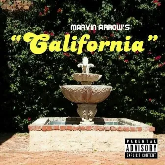 California by Marvin Arrows