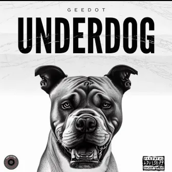 UNDERDOG by Geedot