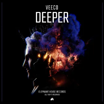 Deeper by Veeco