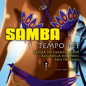 Samba by Tempo Rei