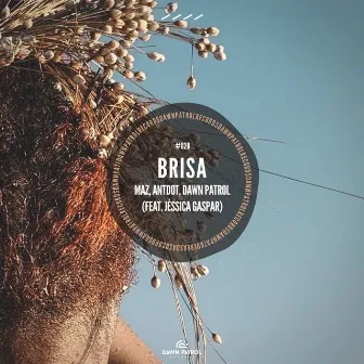 Brisa by Dawn Patrol