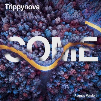 Come (Reggae Version) by Trippynova