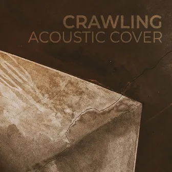 Crawling (Acoustic) by Dead Steve