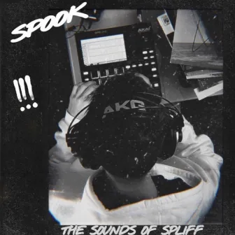 The Sounds of Spliff by Spook