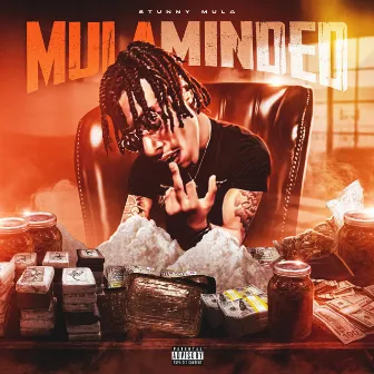 Mula Minded by Stunny Mula