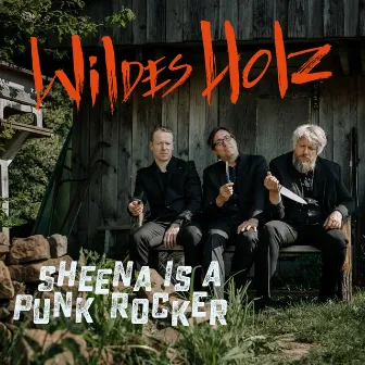 Sheena Is a Punk Rocker by Wildes Holz