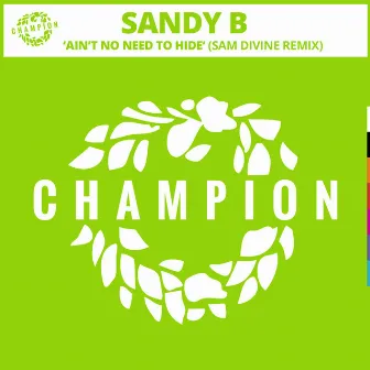 Ain't No Need To Hide (Sam Divine Remix) by Sandy B