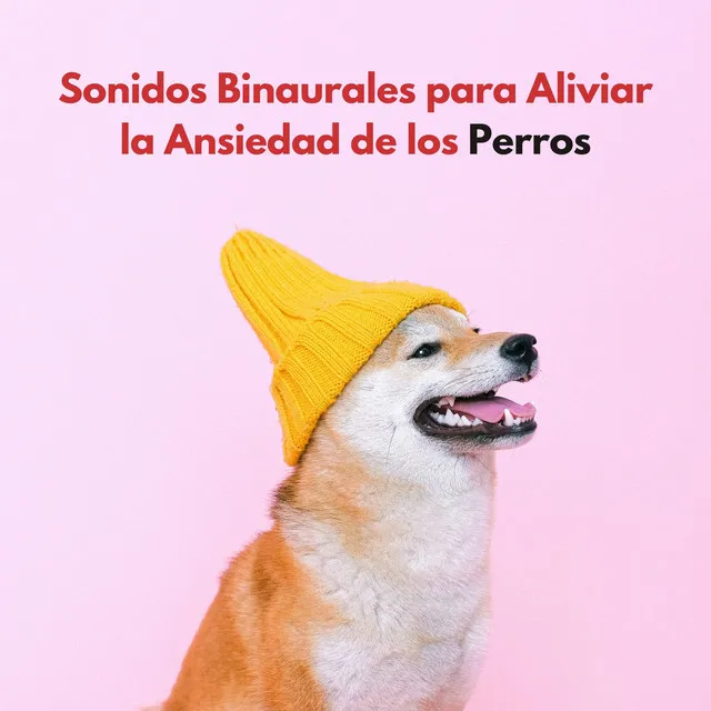 Música para perros TA