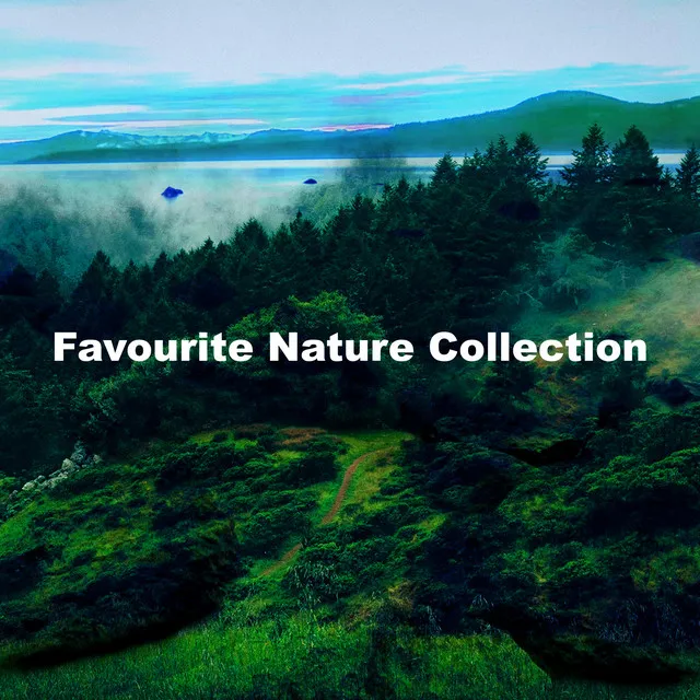 Favourite Nature Collection