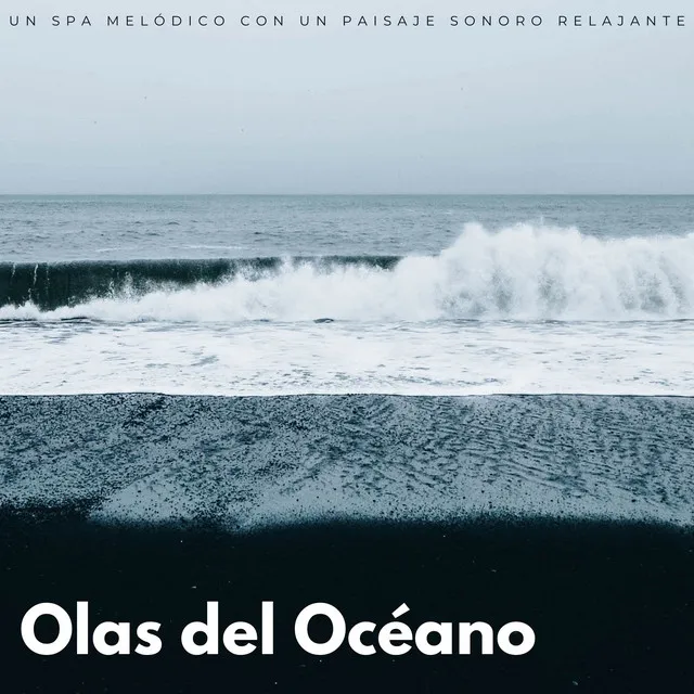 Olas Del Océano: Un Spa Melódico Con Un Paisaje Sonoro Relajante