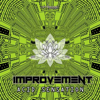 Acid Sensation by Improvement