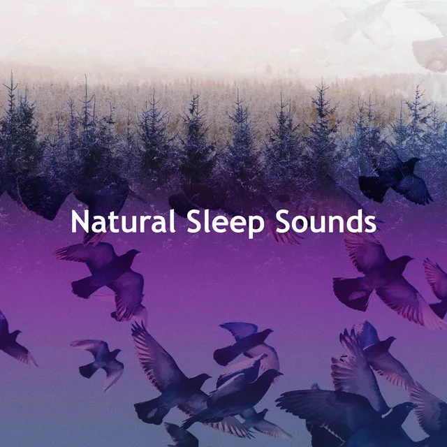 Natural Sleep Sounds