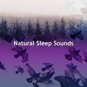 Natural Sleep Sounds by KPR Sounds