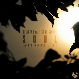 Soul (feat. Sone Silver) by DJ Artak