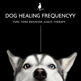 Dog Healing Frequency: Pure Tone Behavior Audio Therapy, Sound & Geometric Healing, Release Separation, Reiki Healing Dogs and Cats with Sound Frequencies, Sound Healing Pet Therapy by Pet Music Academy