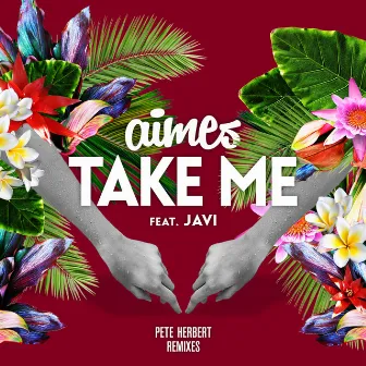 Take Me (Pete Herbert Remixes) by AIMES