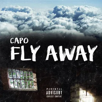 Fly Away by Capo