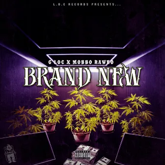 Brand New by Mobbo Rawbo