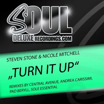 Turn It Up (Original) by Nicole Mitchell