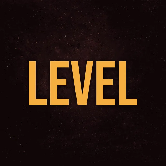 LEVEL (From "Solo Leveling")