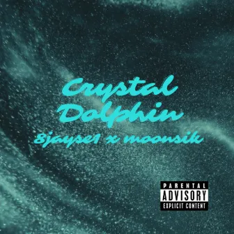 Crystal dolphin by Moonsik