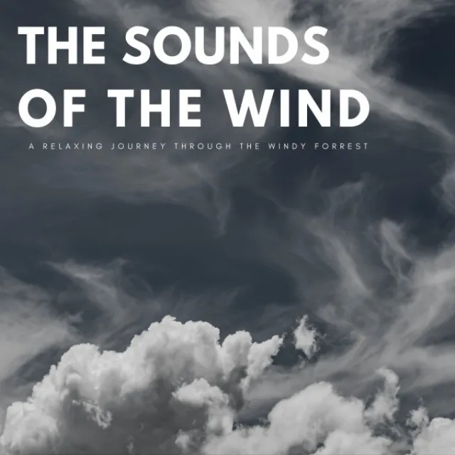 The Sounds Of The Wind: A Relaxing Journey Through The Windy Forest