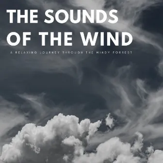 The Sounds Of The Wind: A Relaxing Journey Through The Windy Forest by Upbeat Instrumental Music