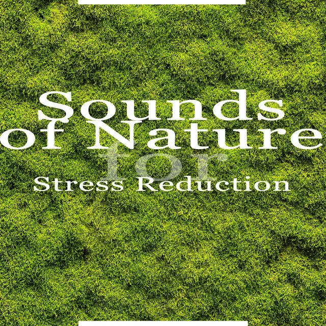 Sounds of Nature for Stress Reduction