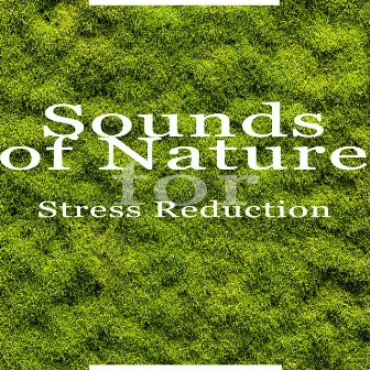 Sounds of Nature for Stress Reduction by Physio Relaxing Melodies