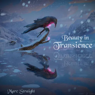 Beauty in Transience by Marc Straight