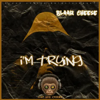 I'm Trying by Blaar Cheese